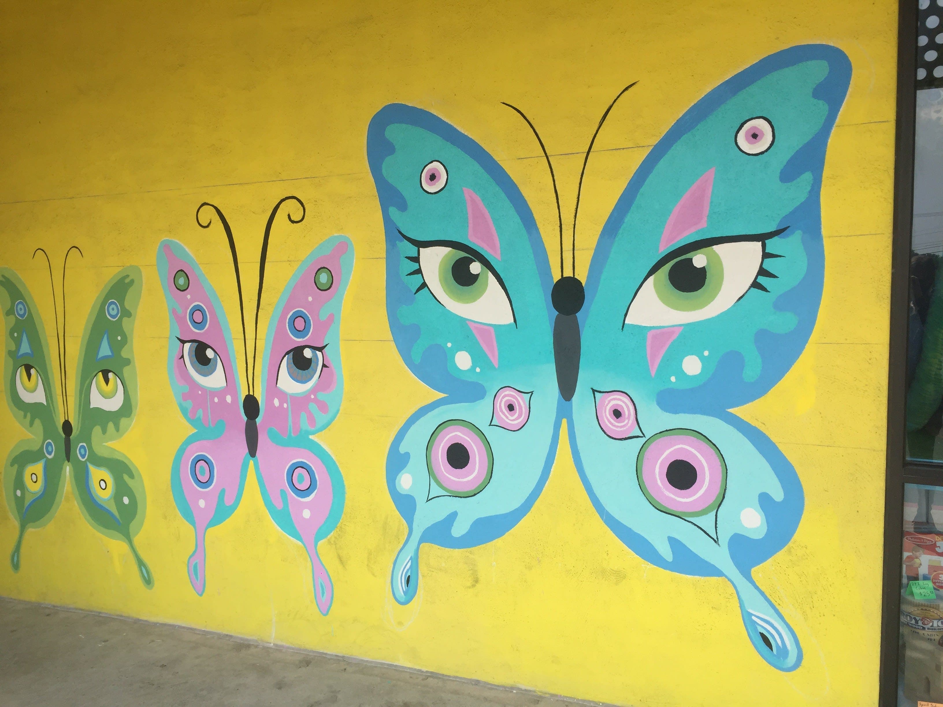 Mural outside of Terra Toys2438 W Anderson Lane